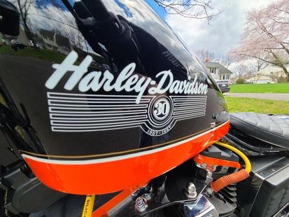 1987 Sportster 1100 30th Anniversary — 30th Anniversary tank detail