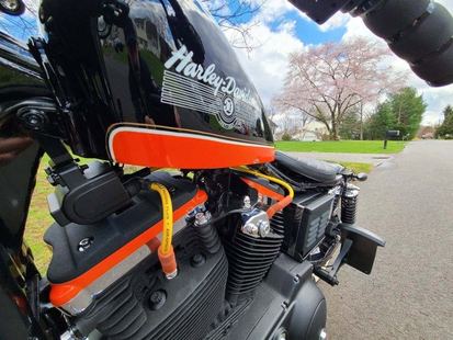 1987 Sportster 1100 30th Anniversary — Engine and tank detail